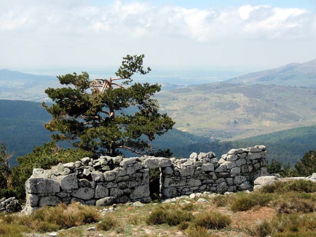 [P4250321+copia.jpg]