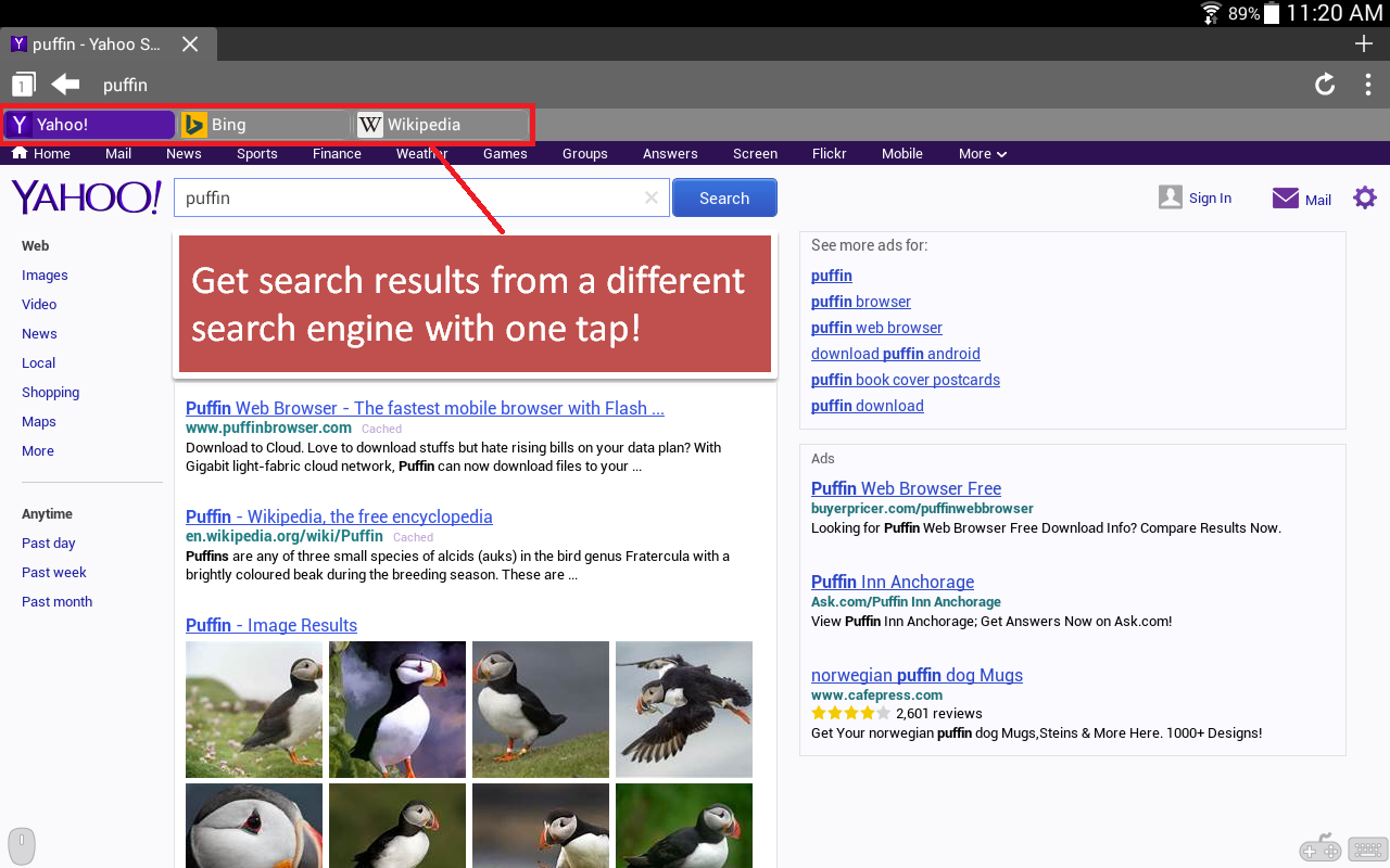 Puffin Web Browser v4.1.0.1035 APK apkmania