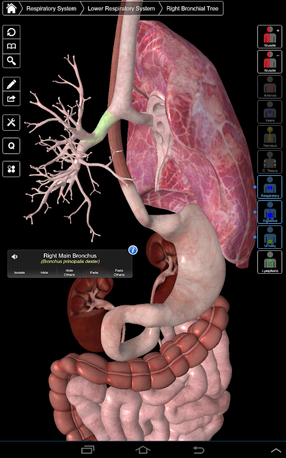 Essential Anatomy 3 v1.1.2 APK free