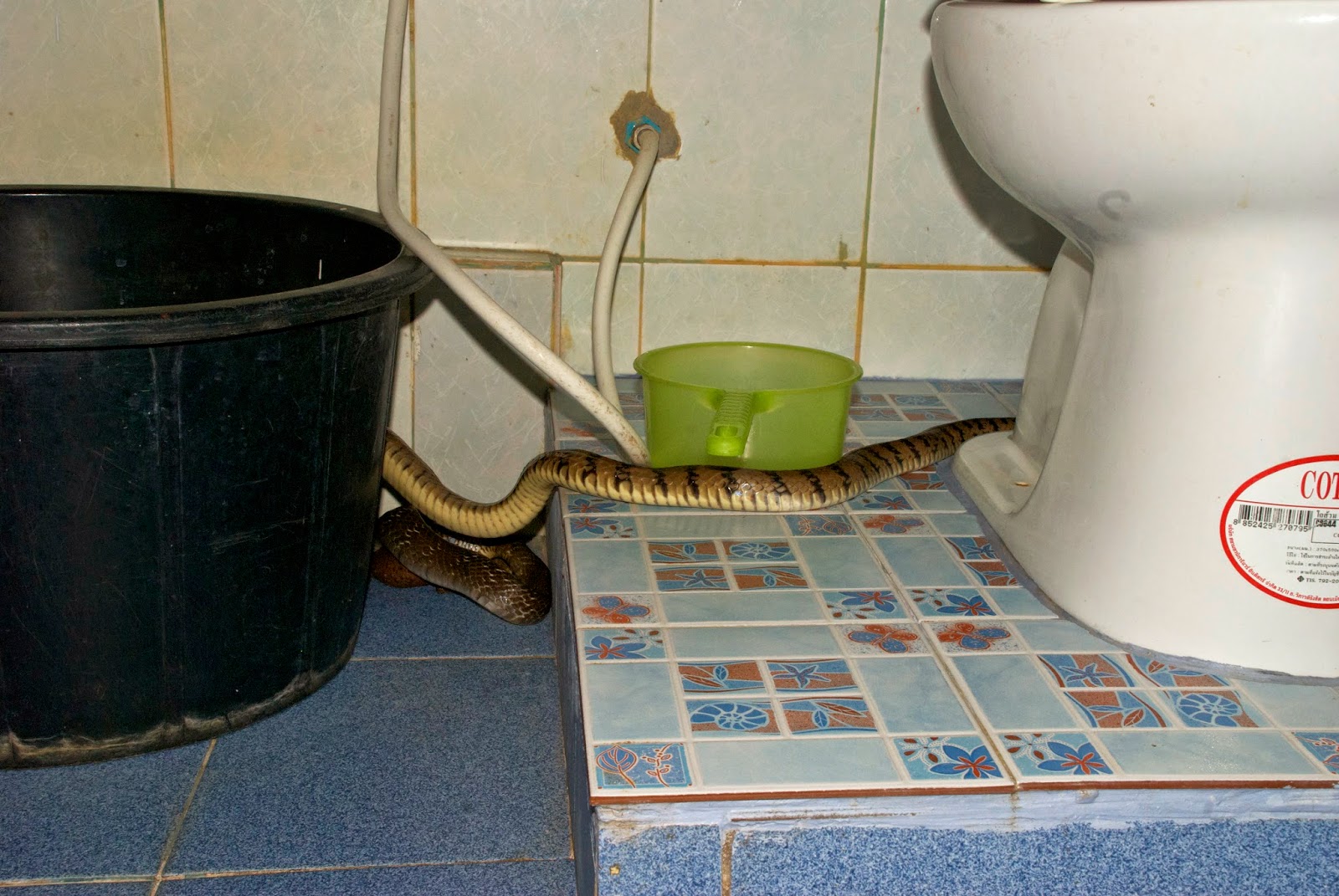 How important to have a Licensed General Contractor for Bathroom