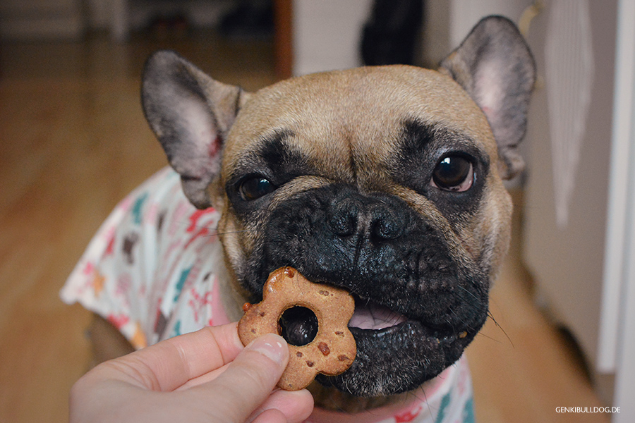 Rezept: Apfel-Käse Hundekekse selbst backen Rezept: Apfel-Käse Hundekekse selbst backen
