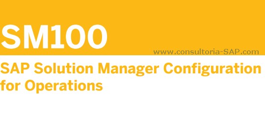 SAP SM100 SAP SM100 - Consultoria-SAP