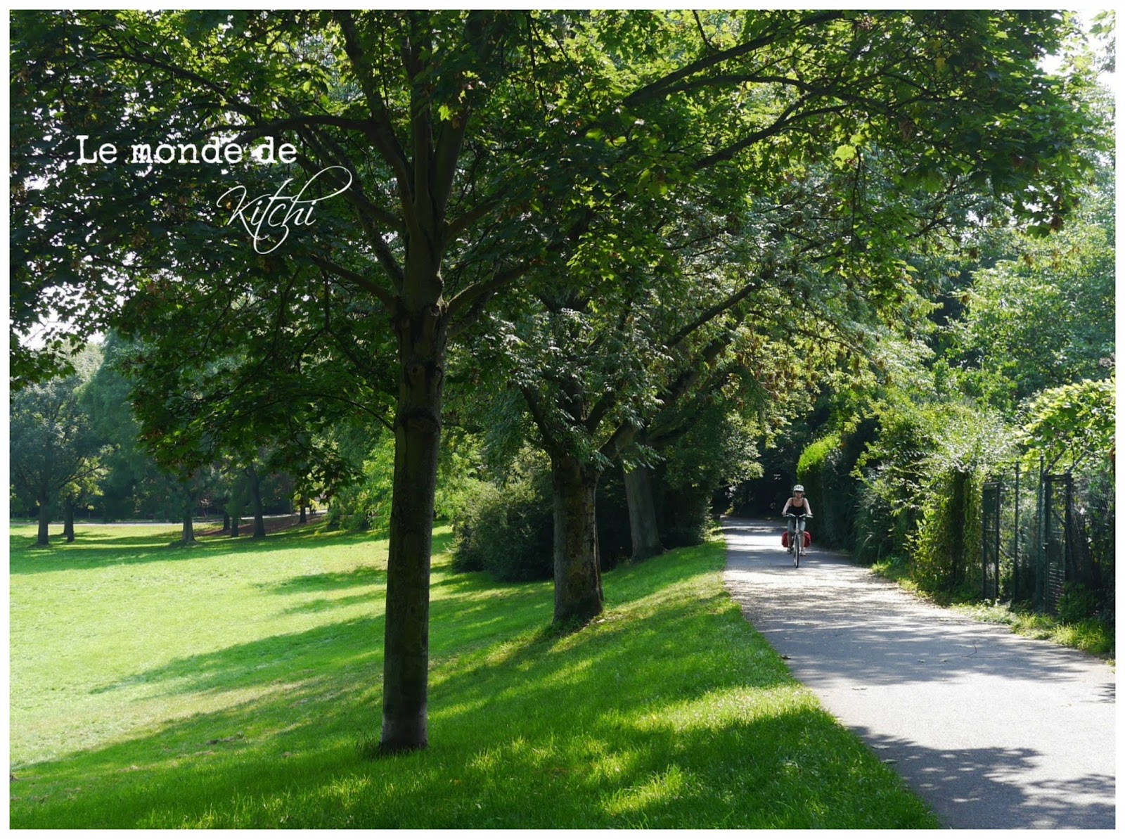 Le Monde De Kitchi Meine 35 Kalenderwoche 2017