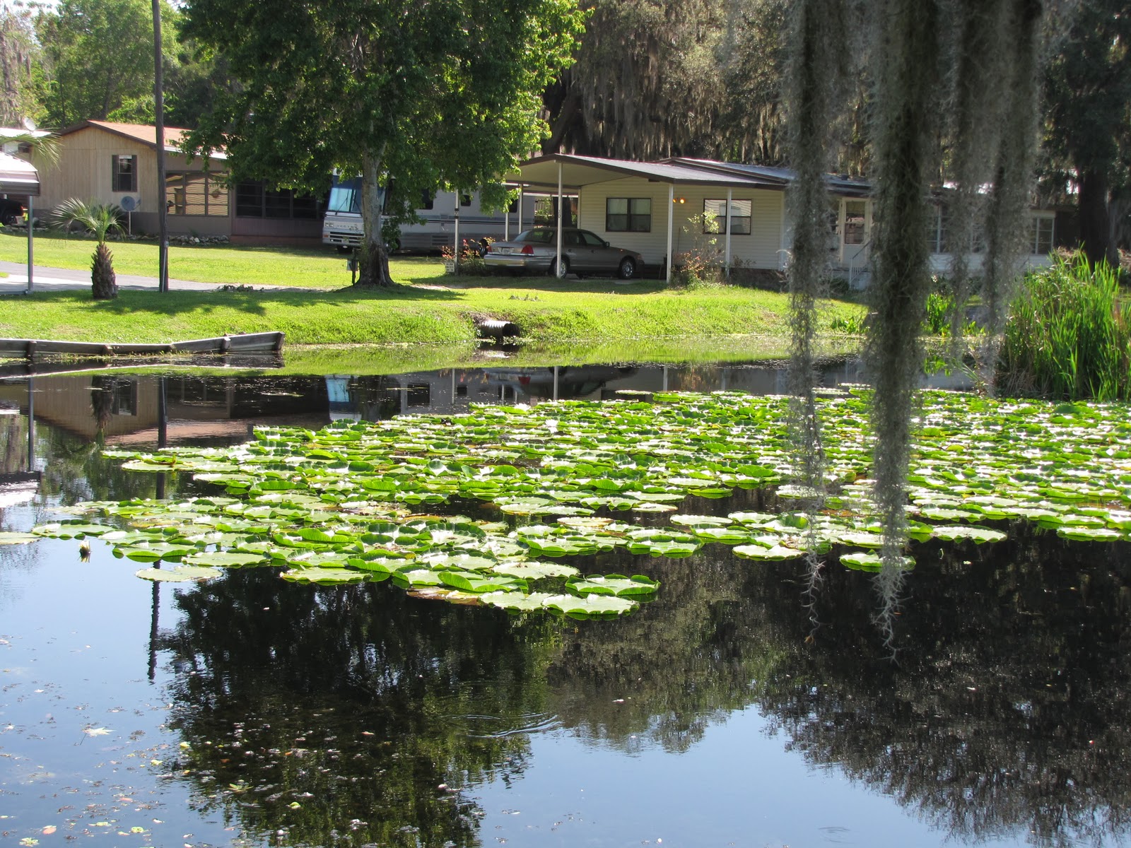 Florida photo adventures April 2011