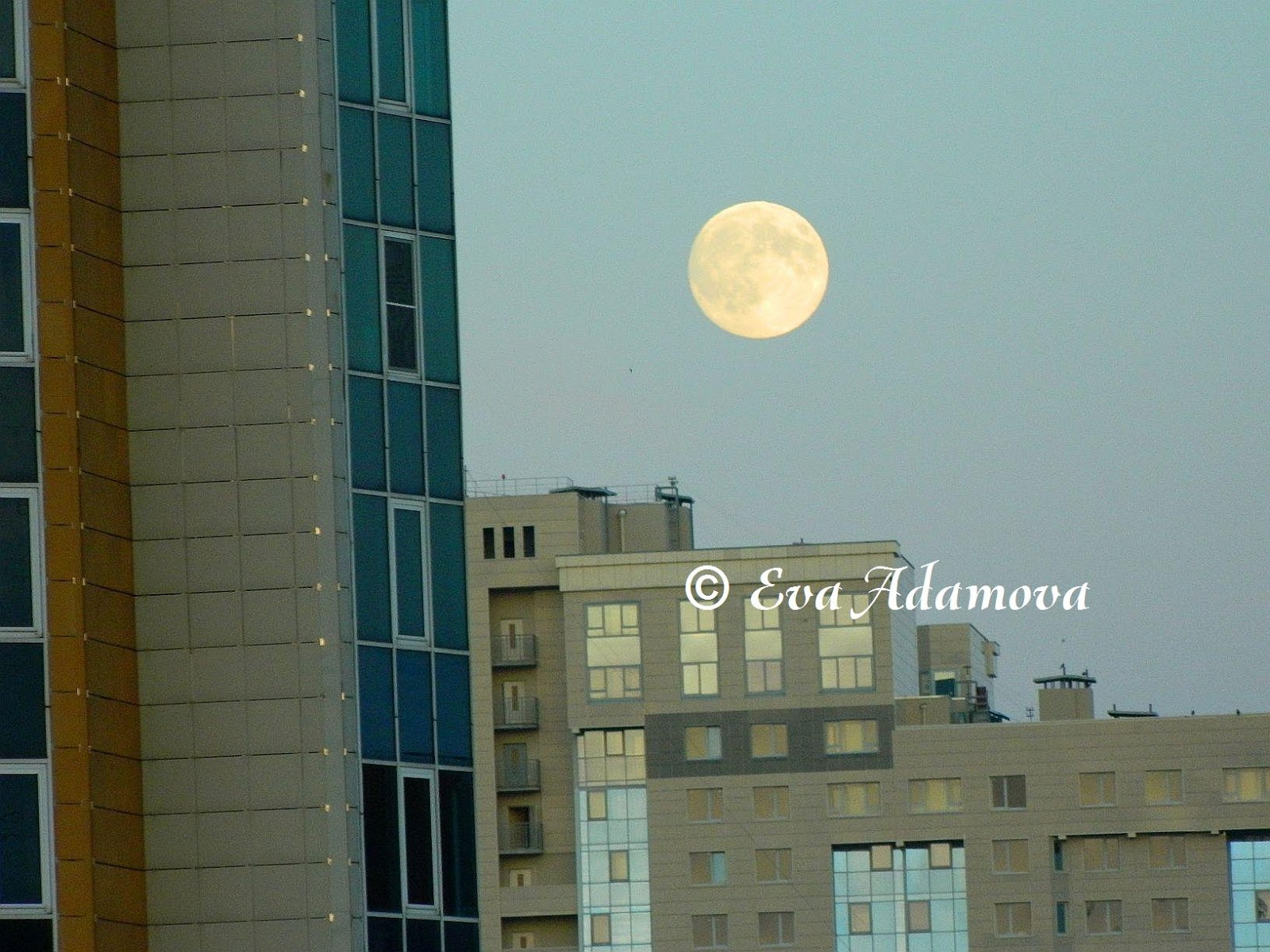 Луна 22 серию. СПБ белые ночи Луна. Луна Петербург 2013 год фото. Супер Луна СПБ. Луна в Питере.