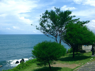 Coastal Plant Trees at Tanah Lot Temple