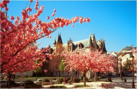 PALACIO DE SENS PARIS