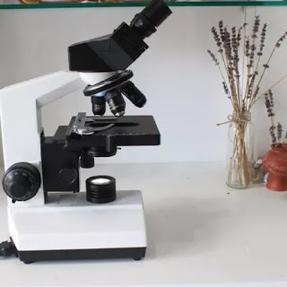 kính hiển vi sinh học 2 mắt