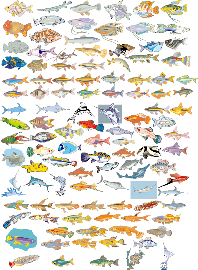 数多くの種類を集めた魚のクリップアート Big Vector Collection of Different Fish イラスト素材