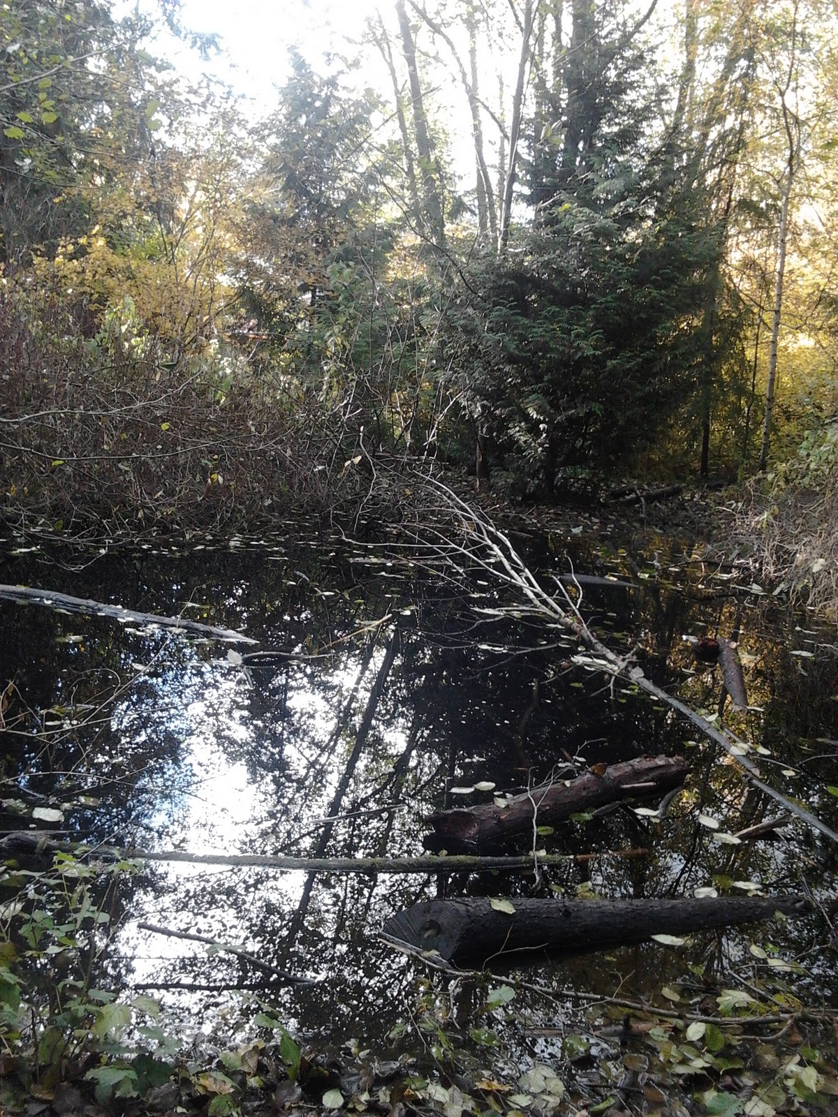 Of Paramount Importance Of Paramount Importance Two Year Anniversary