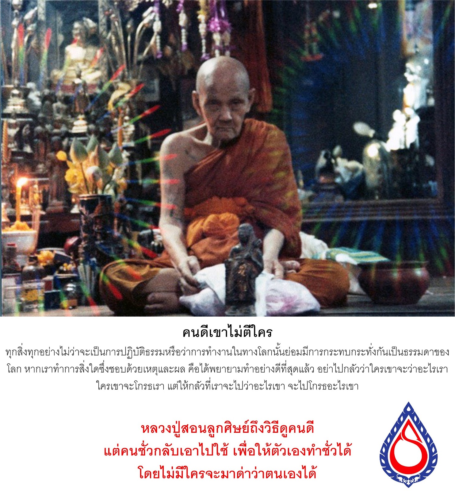 My Image 12