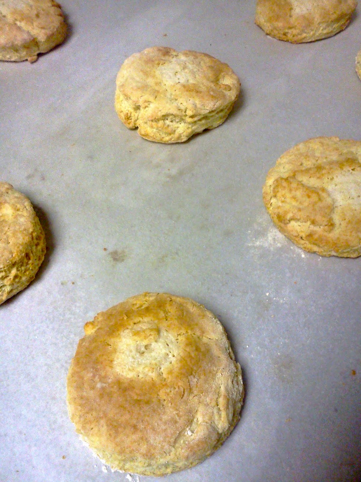 A Trunk Full of Recipes "My Mother's Cream of Tarter Biscuits"