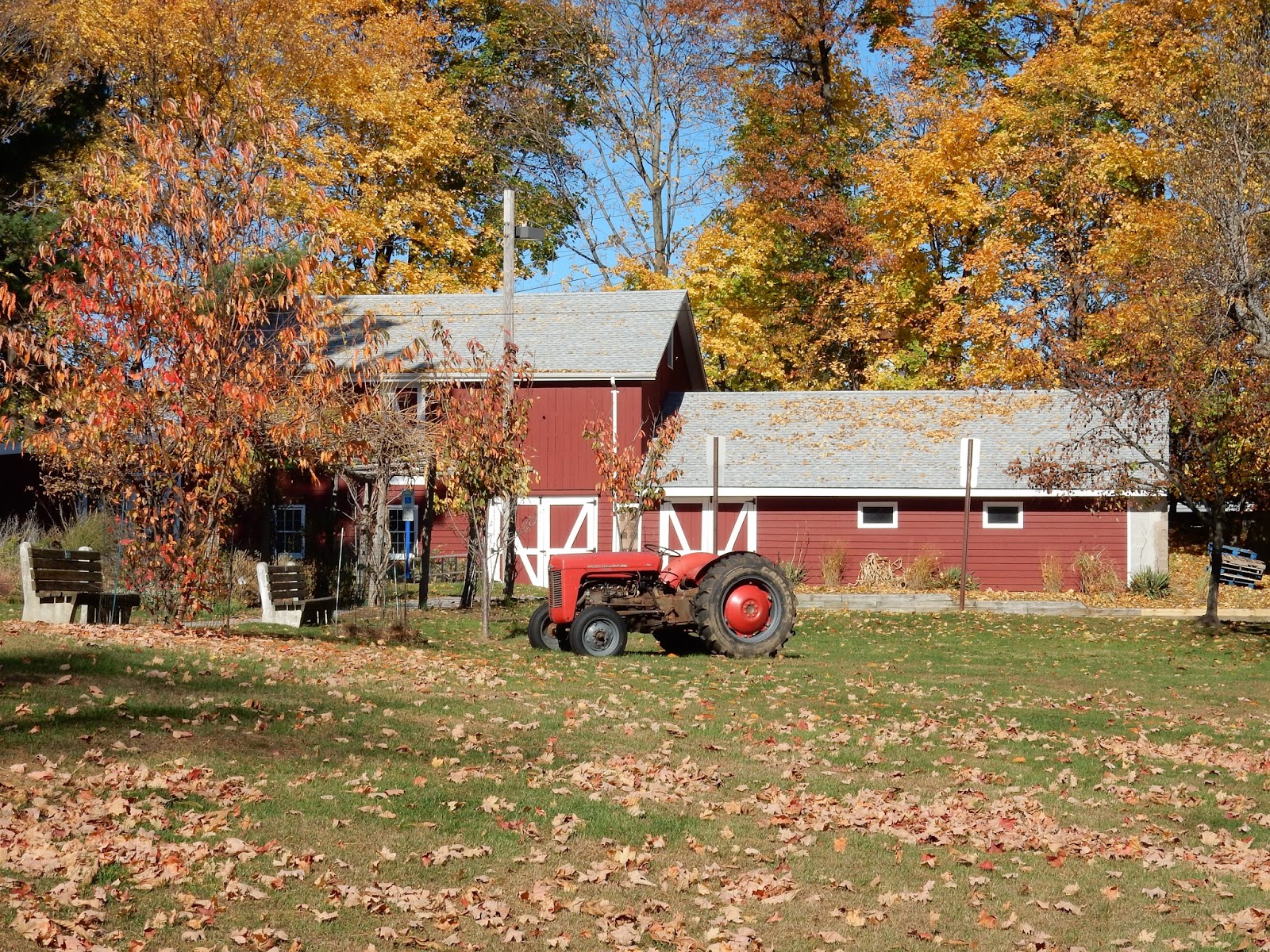 New Jersey and You Perfect Together, Liberty and