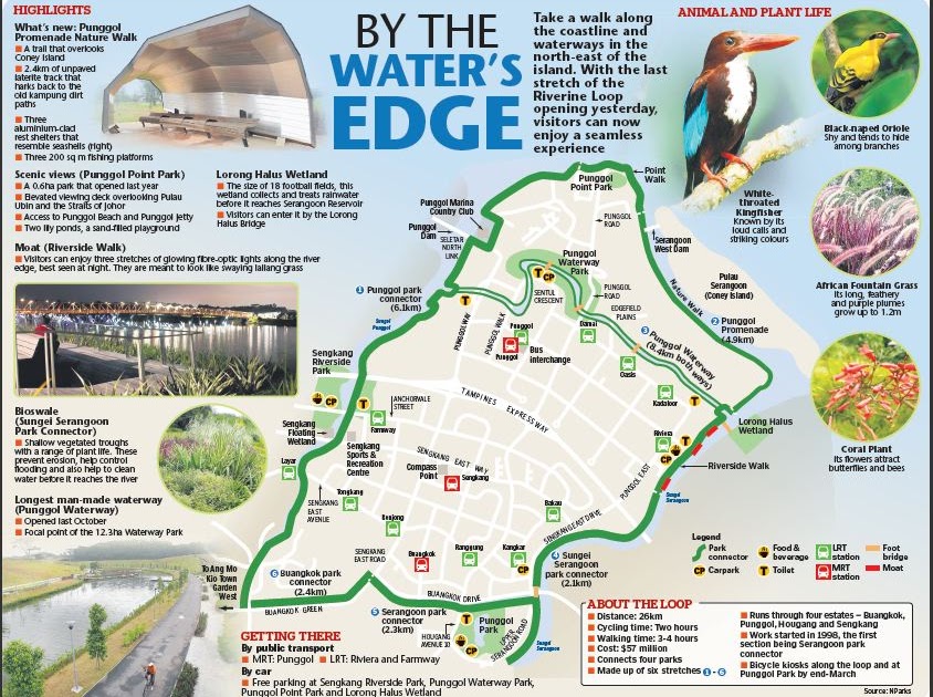 Sengkang Punggol Park Connector Map Wildsingapore News: Nparks To Develop 150-Km Recreational Route