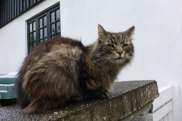 2015060366roskilde.JPG