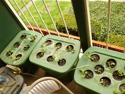 Hydroponic system overview