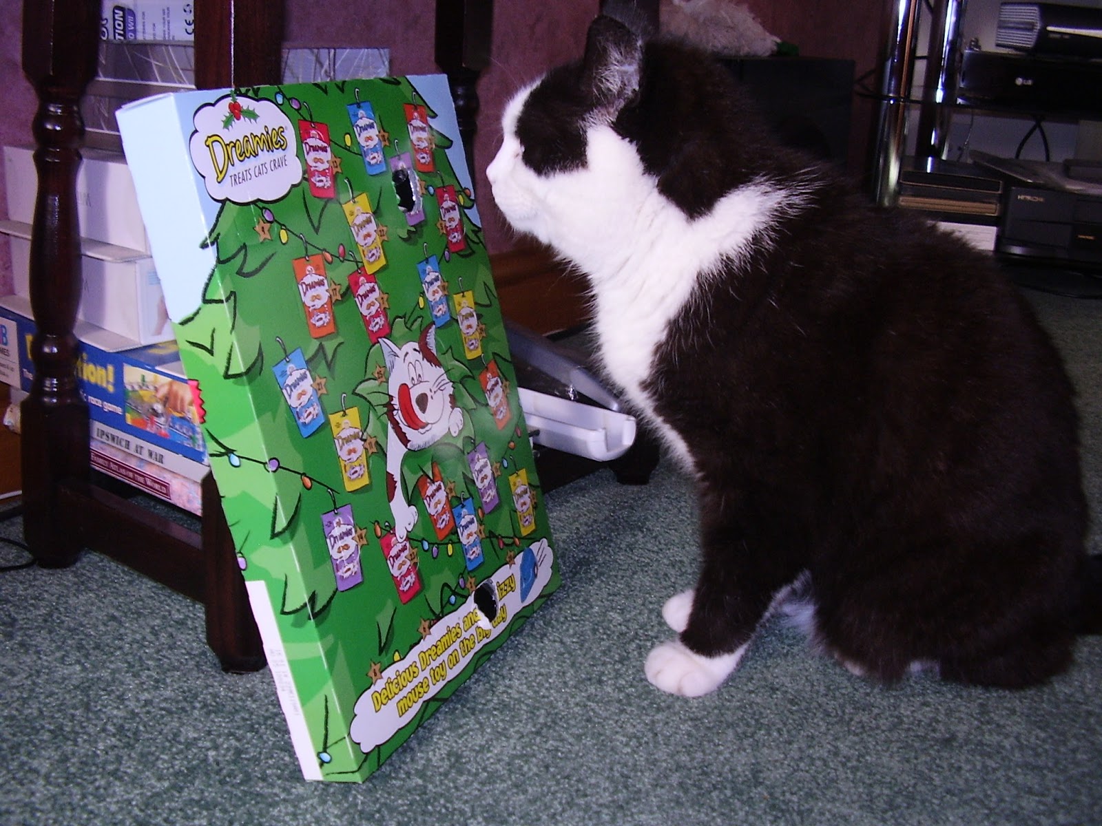 Tractor Girl Gone Scrappin Gus and his advent calendar!
