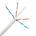 Cat6 Plenum cables at lowest pricing with Free Shipping