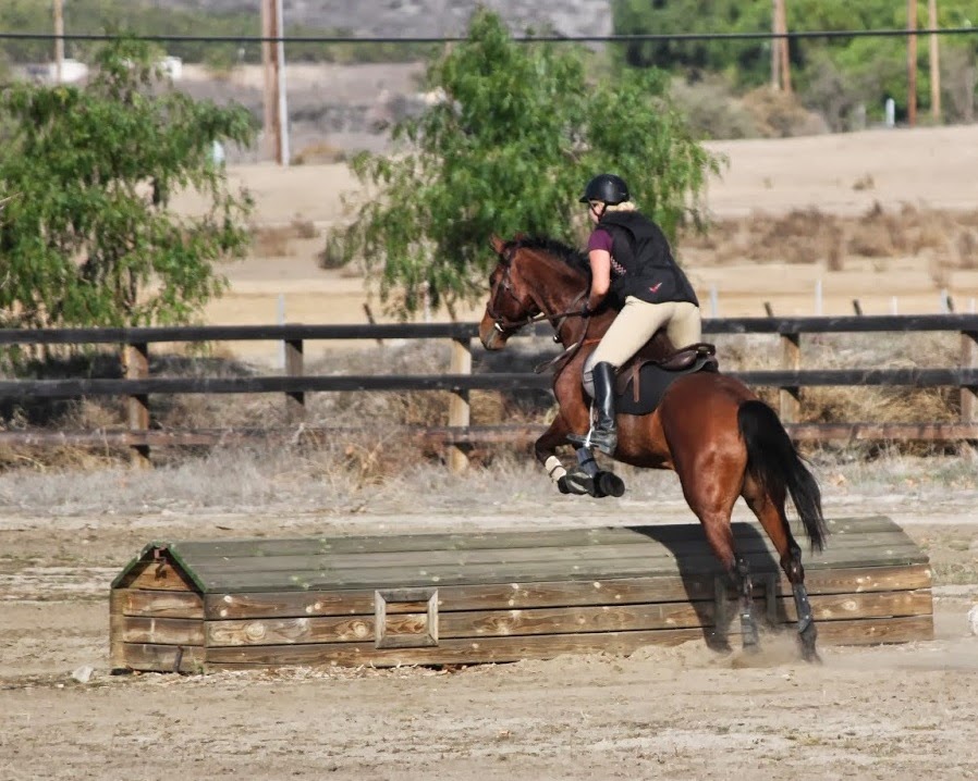 Eventing in Color Eventing Explained Competition Levels