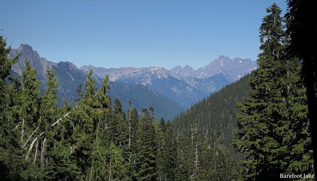 forest and mountains