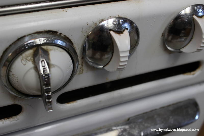 Always Family Adventures Our "New" Vintage Roper Stove Install & Deep