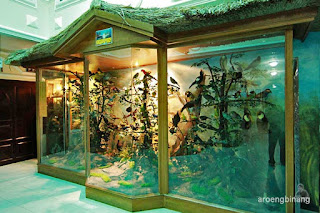 rahmat international wildlife museum gallery