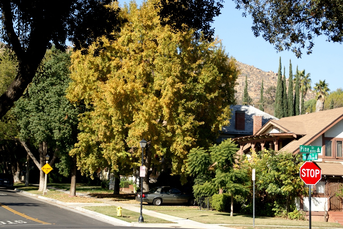 A photo, A thought............ Place Serene neighborhood in Rubidoux
