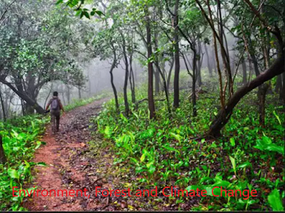 National+workshop+on+Loss+and+Damage