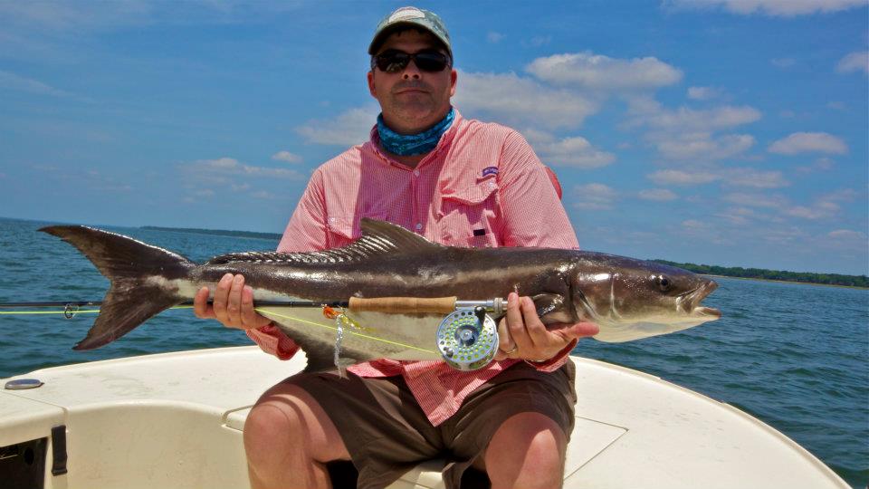 Beaufort, SC Fly Fishing Beaufort, SC Cobia Fishing