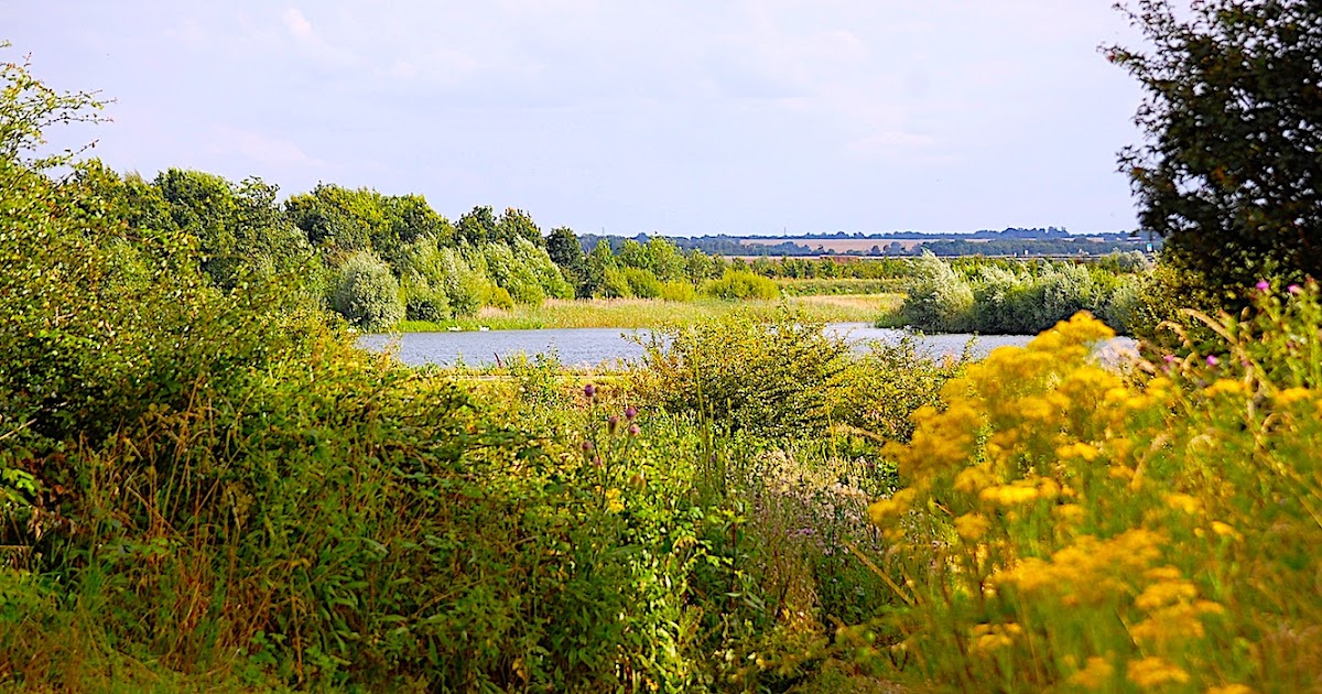Cambridgeshire walks Fenstanton to Fen Drayton Lakes RSPB Nature Reserve