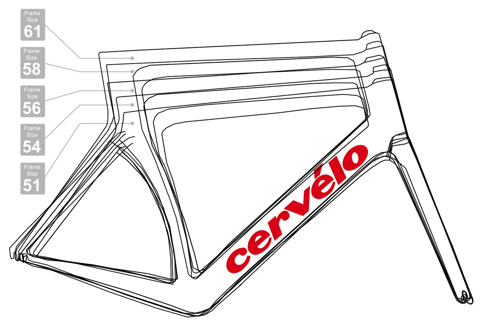 Lousy Legs der RennradBlog Faszination Radsport Size does matter