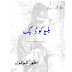 Blue Code Imran Series by Mazhar Kaleem