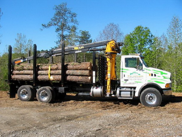 Tree Service NJ | Tree Service