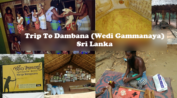 Trip To Dambana (Wedi Gammanaya) - Sri Lanka 2017