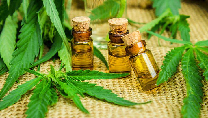 THE YCEO: 5 Things You Should Know About Cannabidiol