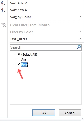 Excel Data Filter