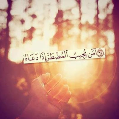 اجدد الفوتو للفيس اجدد الفوتو للفيس