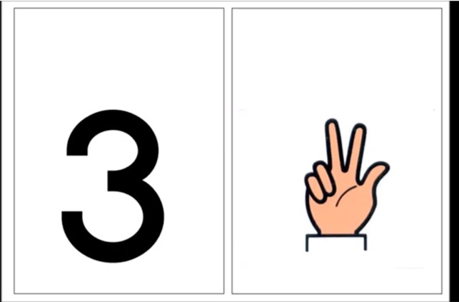 Cijfers en vingerbeelden flitsen (zonder beweging)