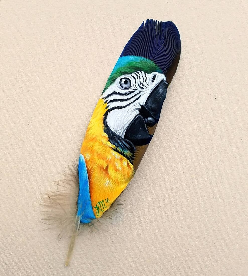01-Blue-and-gold-macaw-Krystle-Missildine-Painting-Realistic-Animals-on-Delicate-Feathers-www-designstack-co