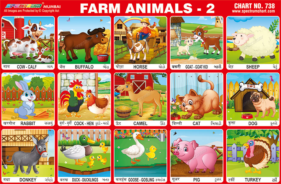 Spectrum Educational Charts: Chart 738 - Farm Animals 2