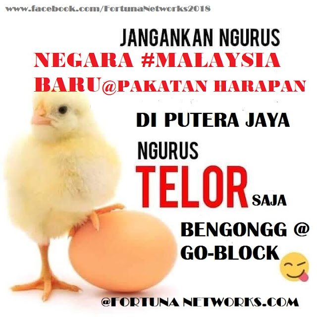 Di Malaysia Harga Telur Ayam Makin Melambung Tinggi, Ada Apa Sebenarnya? <img src="#MalaysiaBaru.jpg" alt="Di Malaysia Harga Telur Ayam Makin Melambung Tinggi, Ada Apa Sebenarnya?">