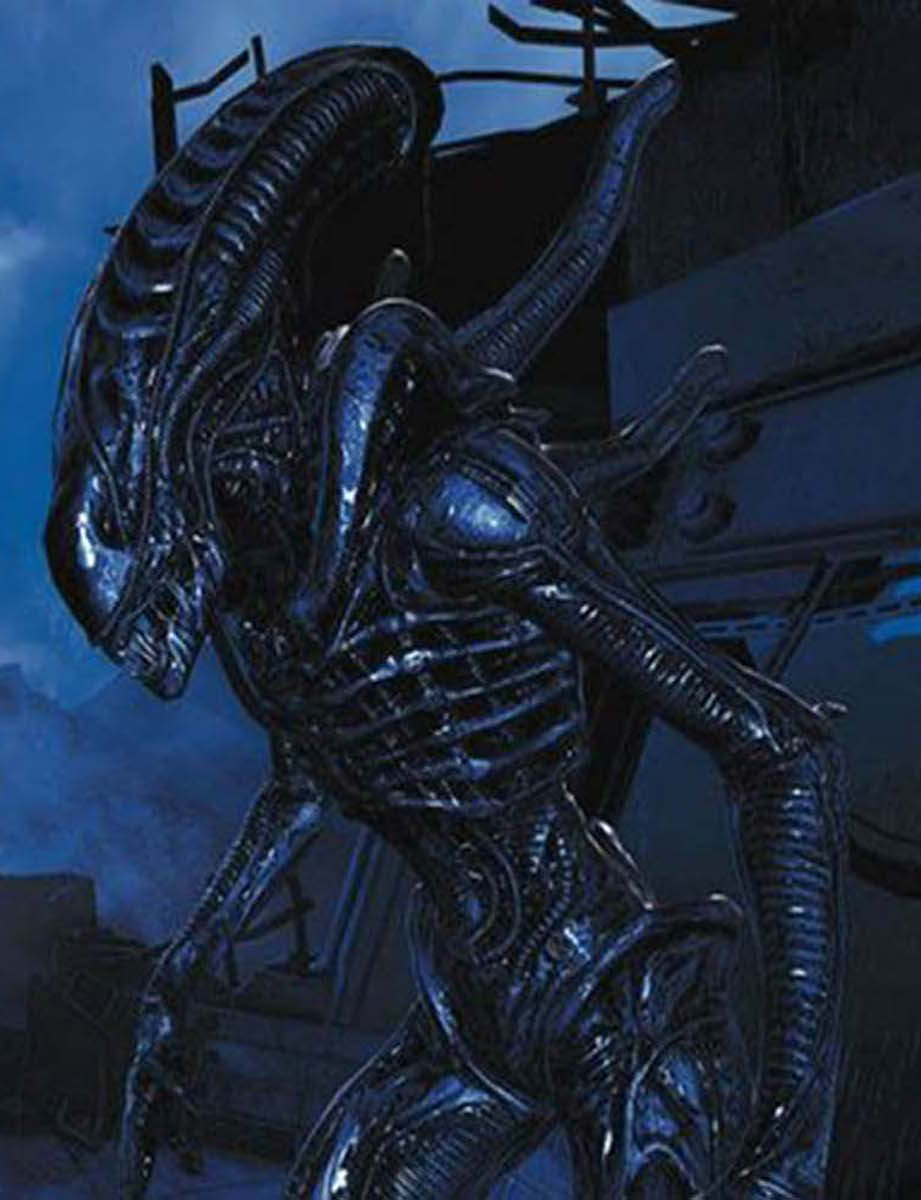 Xenomorphs Xenomorph Glossary