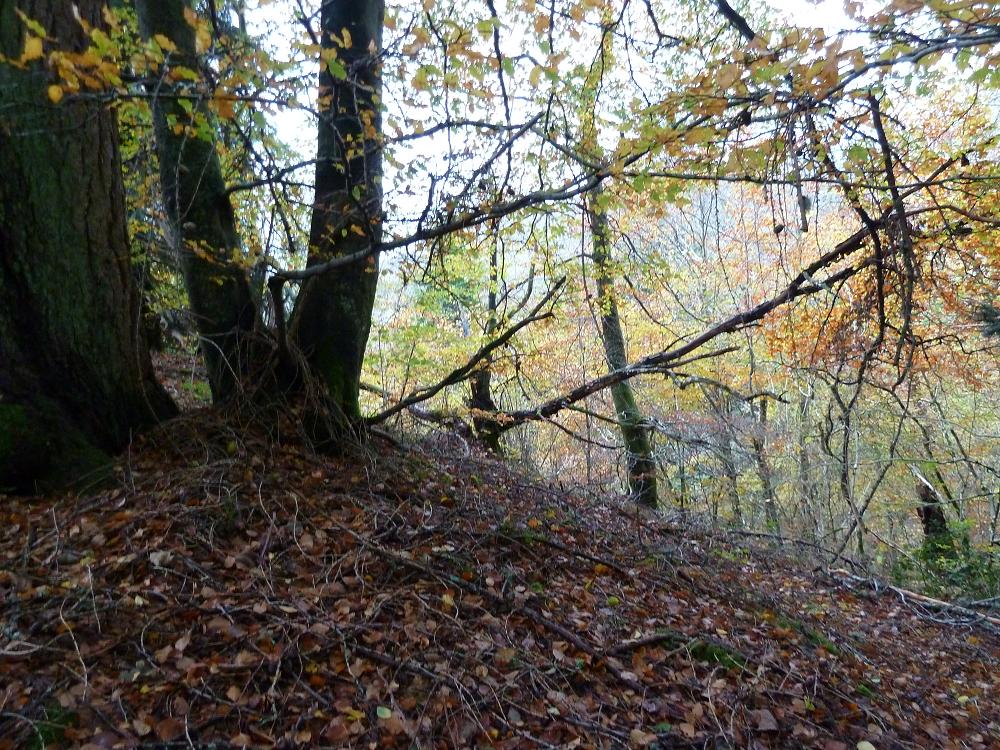 Essay fairylore new 07 picture