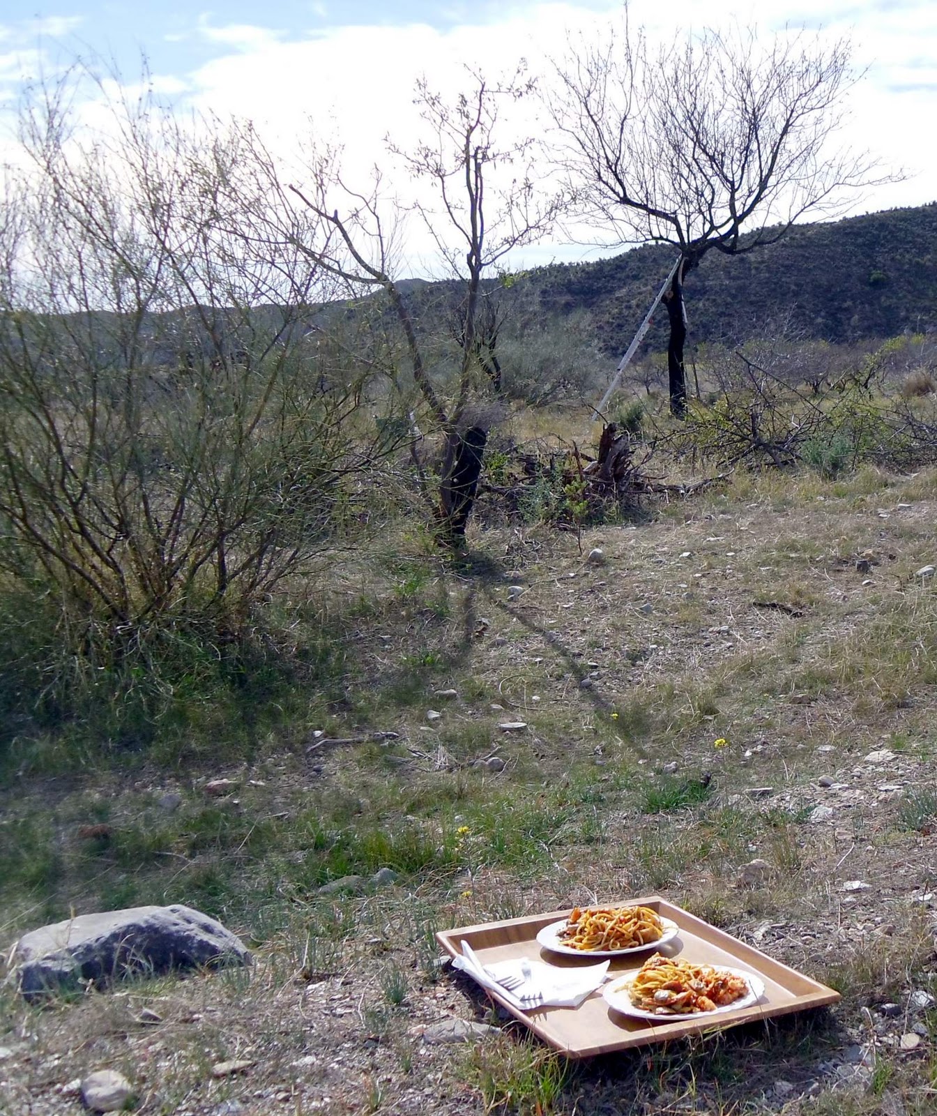 Wills Eats: Pruning Almonds