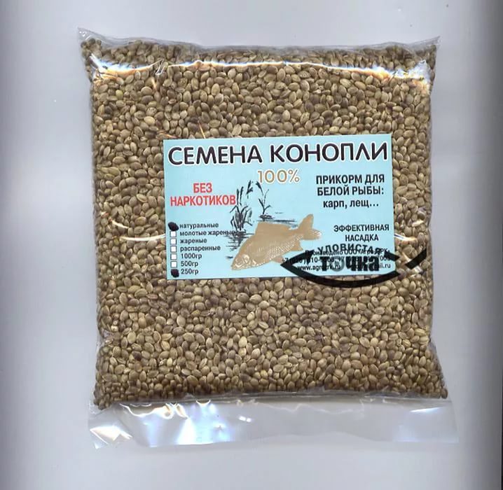 Огуречные семена. Конопляные семена. Как выглядят семена. Семена конопли для рыбы. Конопляные семена.