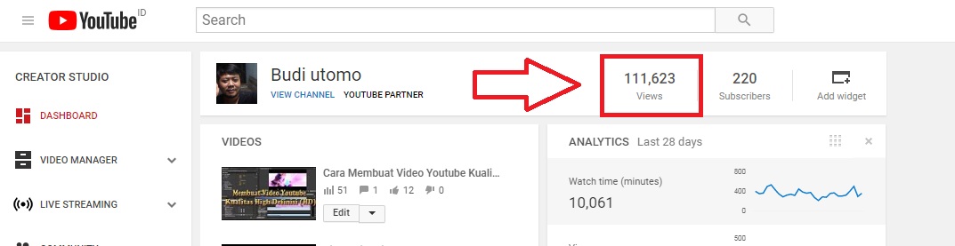 Rahasia di Balik Angka: Berapa Pendapatan YouTuber dari Iklan AdSense di YouTube?