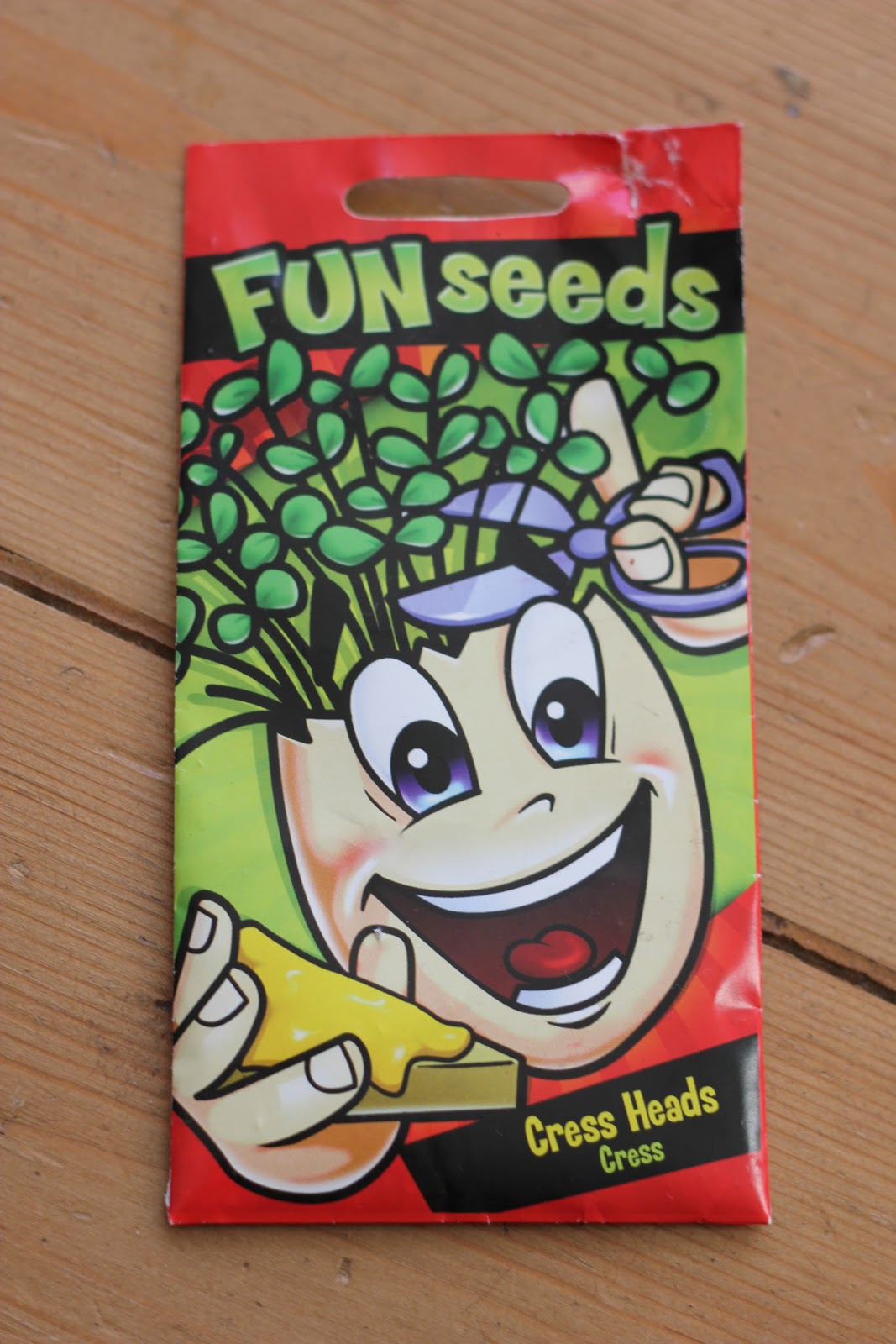Growing Cress Heads and Cress Initials! - The Imagination Tree