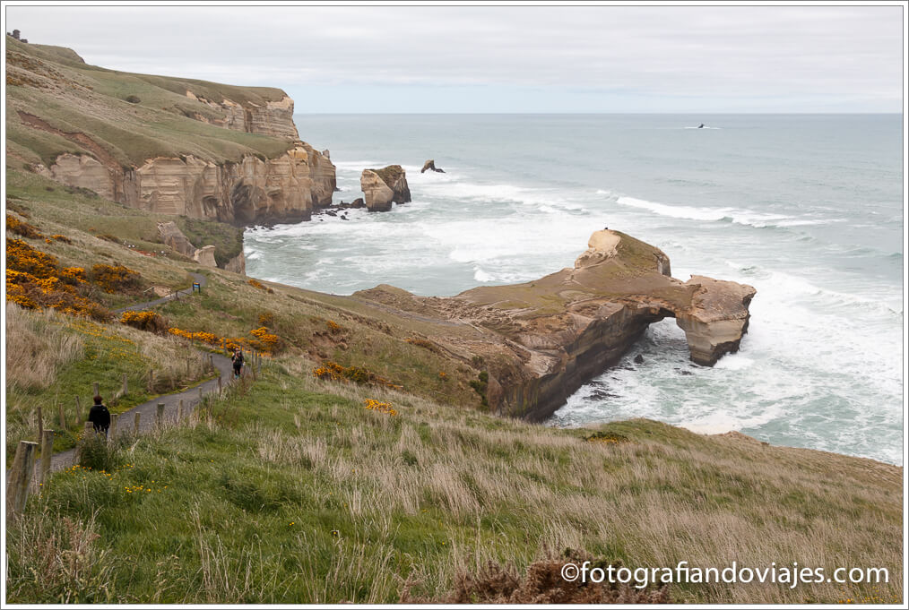 Tunnel beach Tunnel beach track cerca de Dunedin
