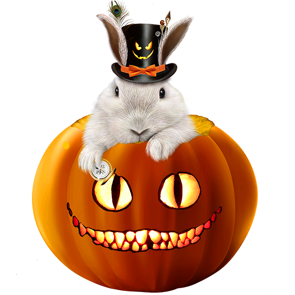 ForgetMeNot: Halloween rabbits