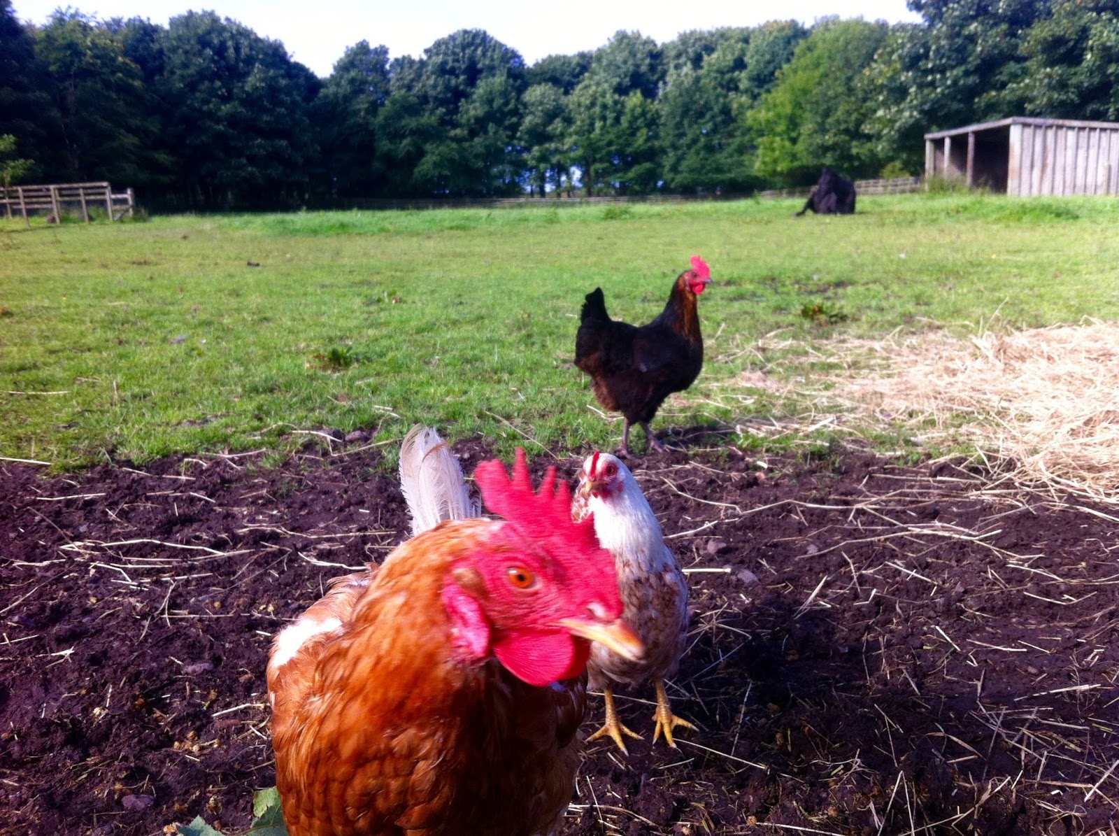 dawes ultra galaxy 853